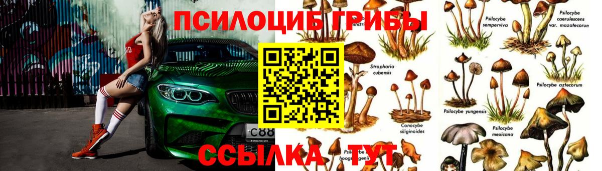 Псилоцибиновые грибы Cubensis  Вход с VPN  Бор 
